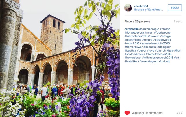 Flora et decora - post 8