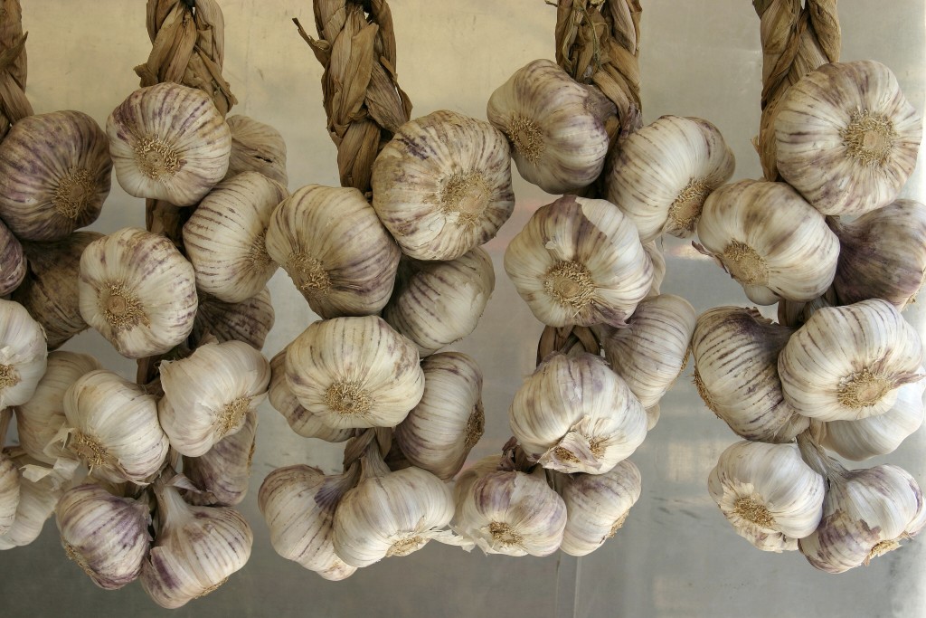 Aglio e cipolla - aglio treccia