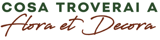 cosa troberai